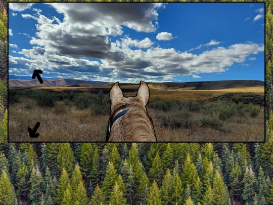 easteast2 screenshot