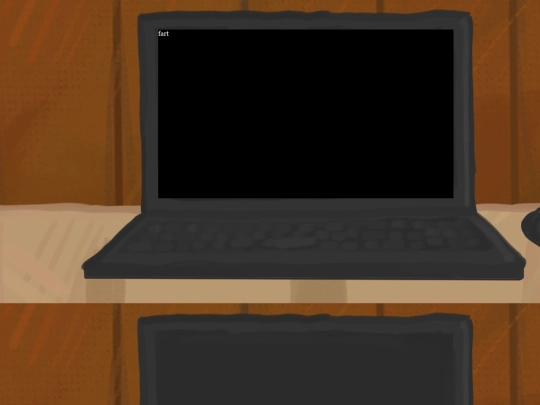 laptop screenshot