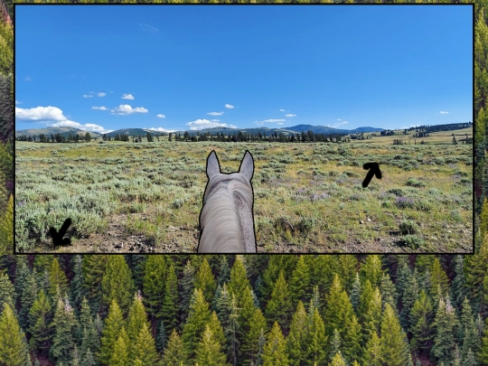 northeast1 screenshot