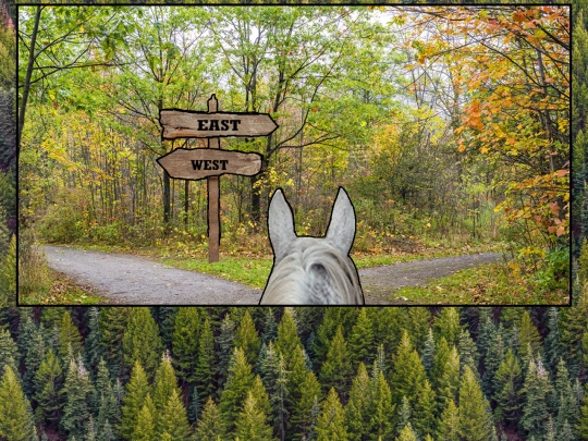 trailhead1 screenshot
