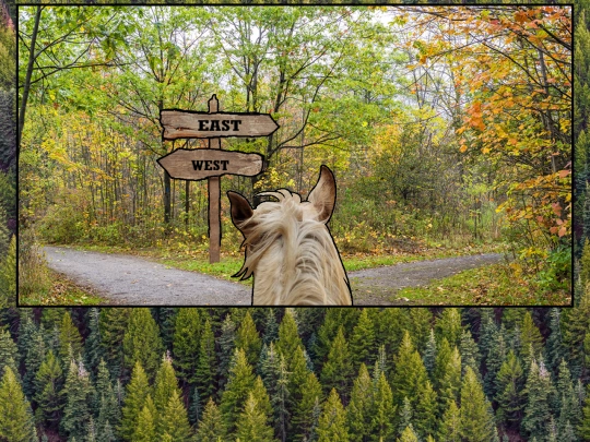 trailhead2 screenshot
