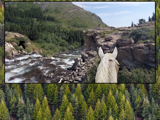 west1 screenshot