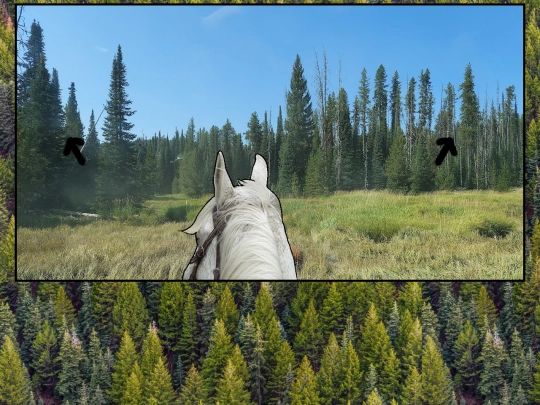 westsplit1 screenshot
