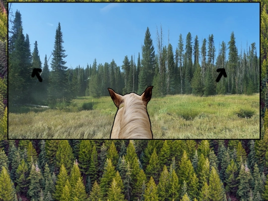 westsplit2 screenshot