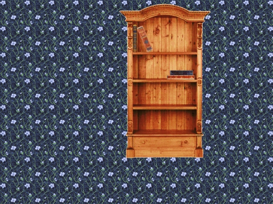 library/library screenshot