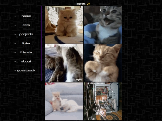 cats screenshot