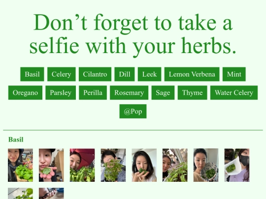 dontforgettotakeaselfiewithyourherbs screenshot