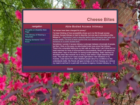 accessintimacyfromtheablebodied screenshot