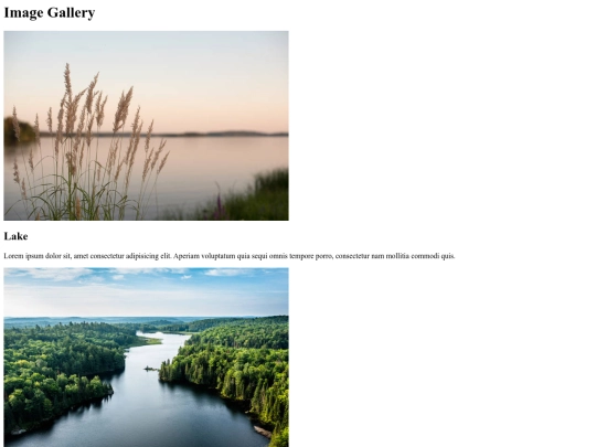 Image Gallery screenshot
