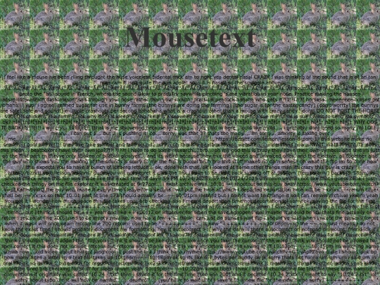 archives/11-13-25 (v0.1)/fun/mousetext screenshot