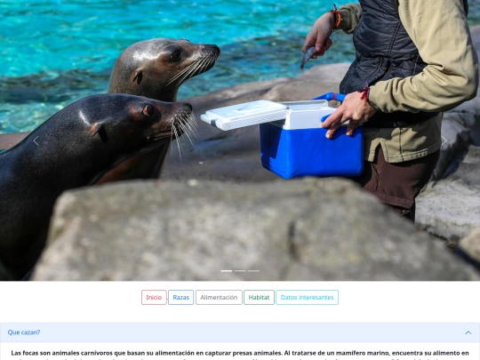 alimentación screenshot