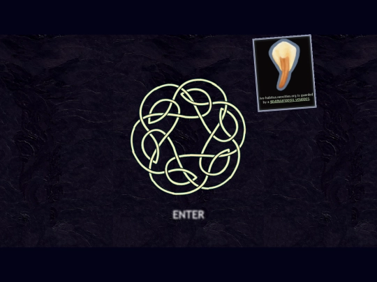 enter screenshot