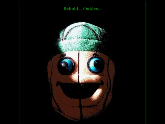 oaklee screenshot