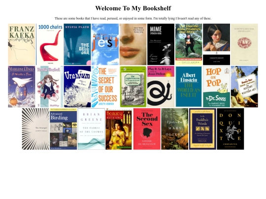 bookshelf screenshot