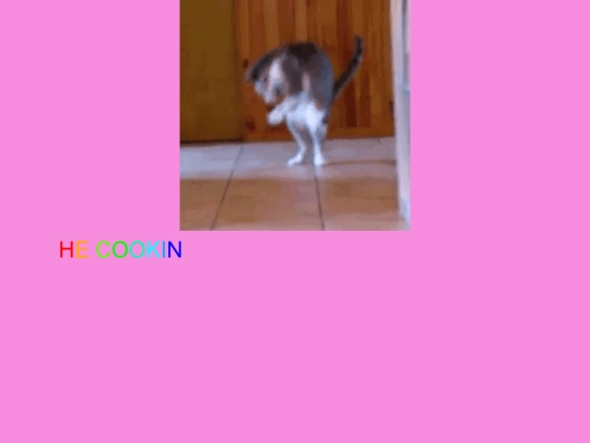 meow screenshot