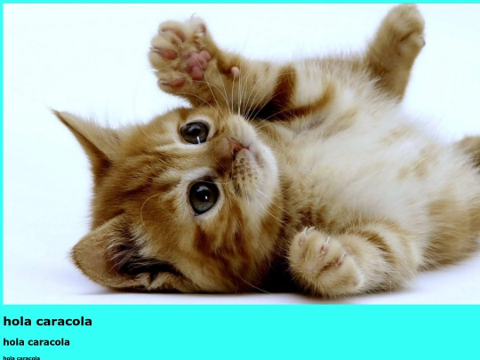 prueba.html/prueba screenshot
