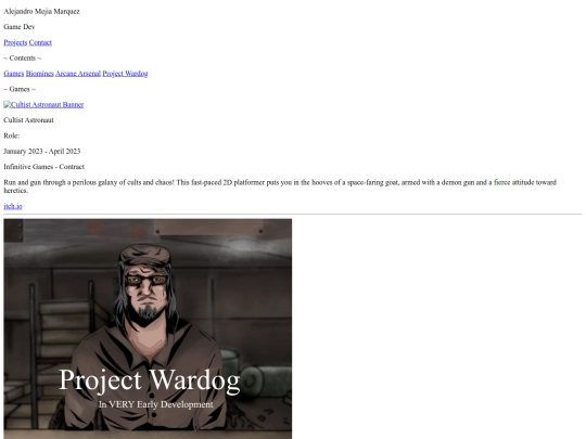 Portfolio Website/mainpage screenshot