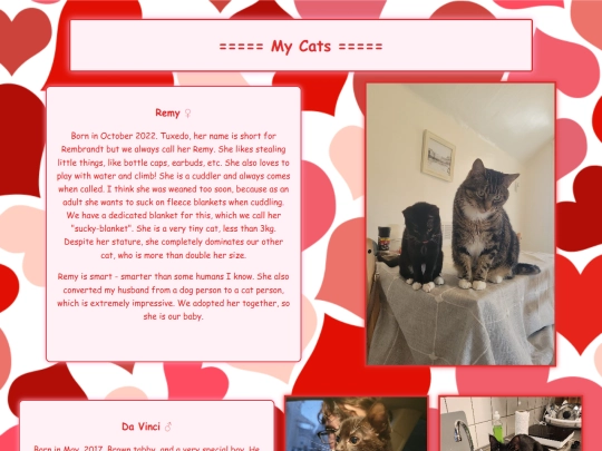 My_Cats/my_cats screenshot