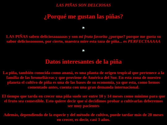 Pag.Web/Piñas screenshot