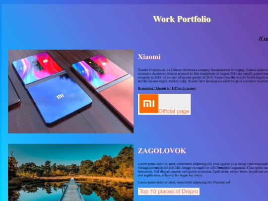workportfolio screenshot