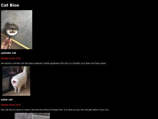 CatBios screenshot