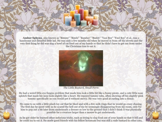 bimmyshrine screenshot