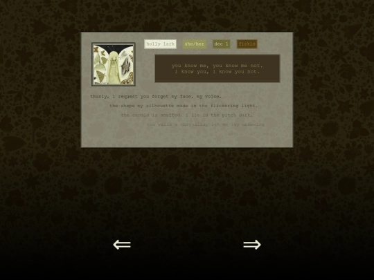 cards/holly screenshot