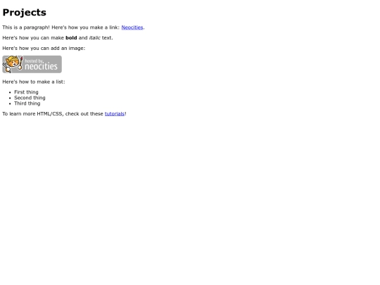 projects screenshot