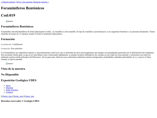 muestra19 screenshot