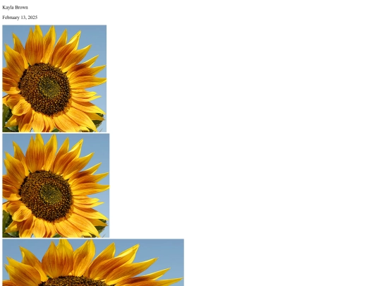 module3-1 screenshot