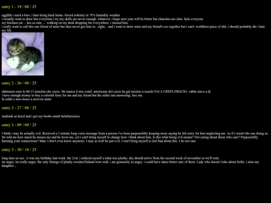 diary screenshot