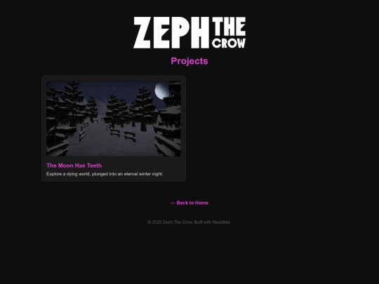 projects screenshot