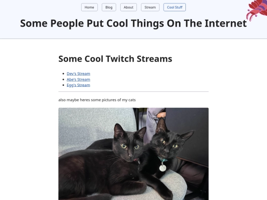 coolthingsyoushouldsee screenshot