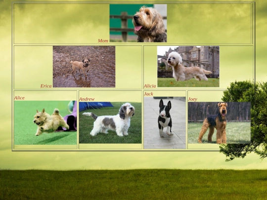 Family Tree screenshot