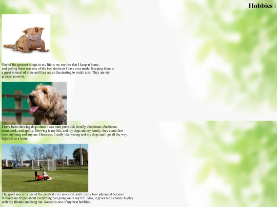 Hobbies and Interests screenshot