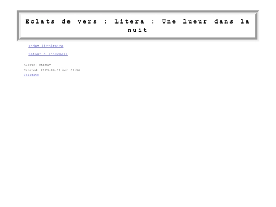 litera/une-lueur-dans-la-nuit screenshot
