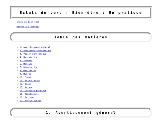 wellbeing/enpratique screenshot