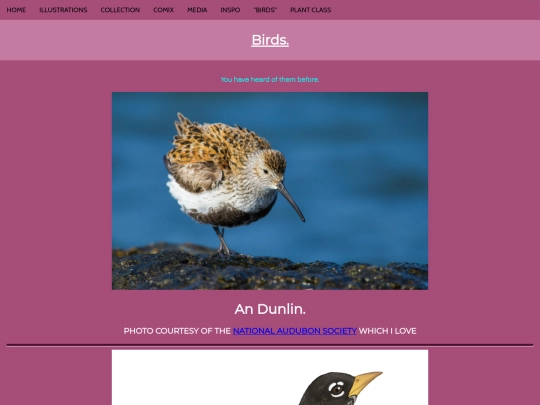 birds screenshot