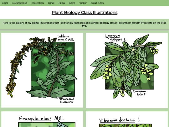 plantclass screenshot