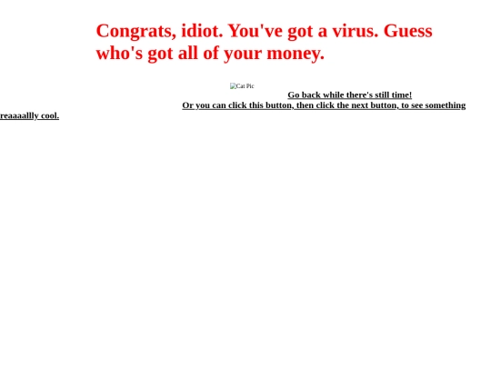 virus screenshot