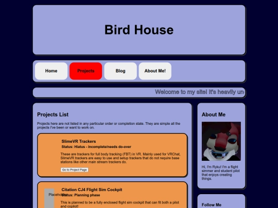 projects screenshot