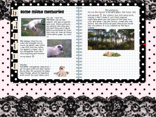 nextpage screenshot