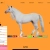 GoooooooGalopp avatar