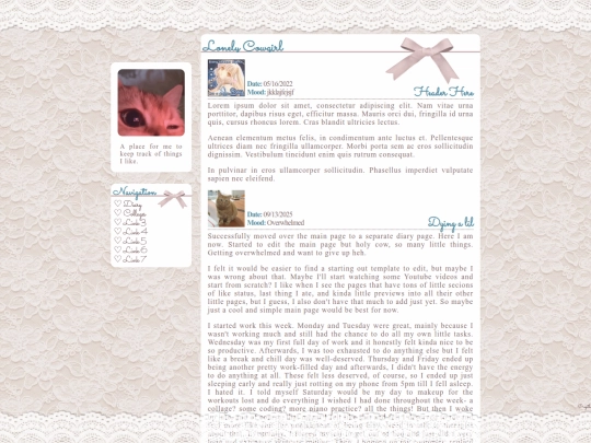 diary screenshot