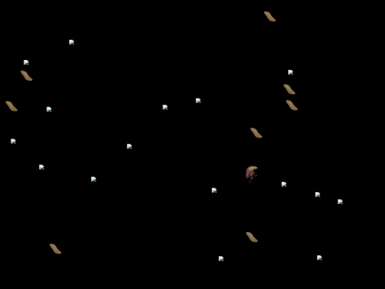 fiona screenshot