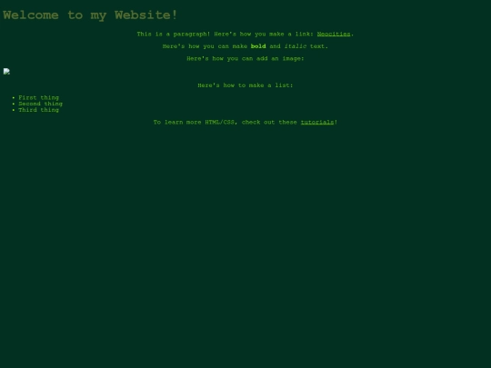 diary screenshot