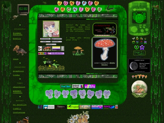 indextidy screenshot