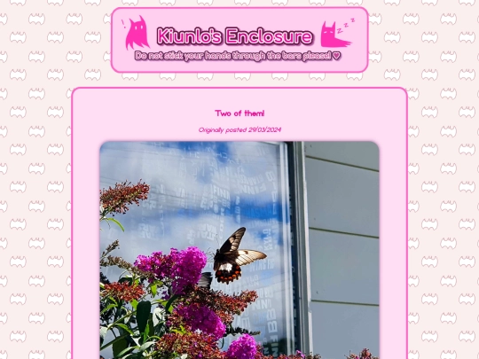 animals/bugs/entry/4 screenshot