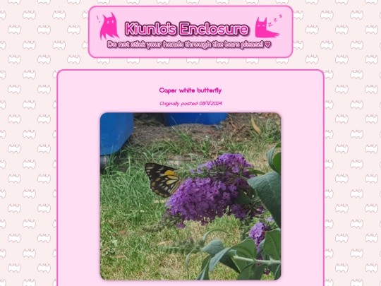 animals/bugs/entry/8 screenshot