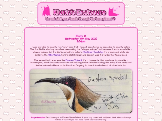 birdblog/entry/13 screenshot